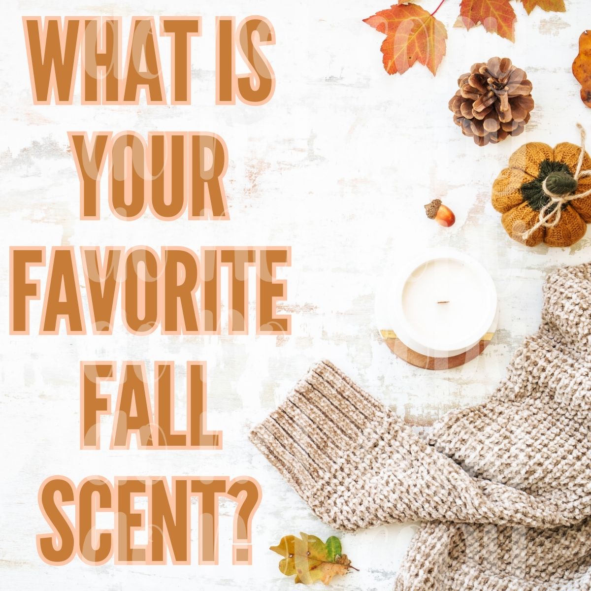 Fall Graphic Bundle