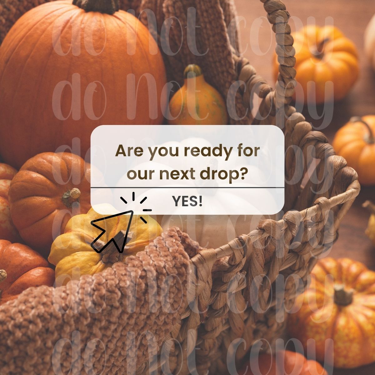 Fall Graphic Bundle